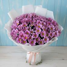 Букет сиреневая охапка в Москве Букет цветов из:  Хризантемы в Москве