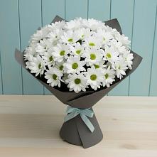 Букет белые хризантемы в Москве Букет цветов из:  Хризантемы в Москве